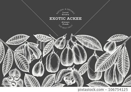 Hand drawn sketch style ackee banner. Organic fresh food vector illustration on chalk board. Retro exotic fruit design template. Engraved style botanical background. 106754125