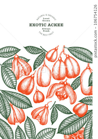 Hand drawn sketch style ackee banner. Organic fresh food vector illustration. Retro exotic fruit design template. Engraved style botanical background. Hand drawn sketch style ackee banner. Organic fresh food vector illustration. Retro exotic fruit design template. Engraved style botanical background. 106754126