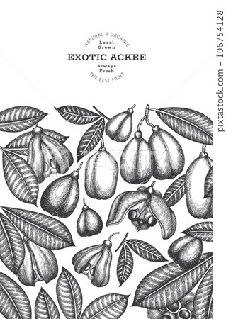 Hand drawn sketch style ackee banner. Organic fresh food vector illustration. Retro exotic fruit design template. Engraved style botanical background. Hand drawn sketch style ackee banner. Organic fresh food vector illustration. Retro exotic fruit design template. Engraved style botanical background. 106754128