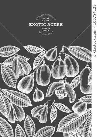Hand drawn sketch style ackee banner. Organic fresh food vector illustration on chalk board. Retro exotic fruit design template. Engraved style botanical background. Hand drawn sketch style ackee banner. Organic fresh food vector illustration on chalk board. Retro exotic fruit design template. Engraved style botanical background. 106754129