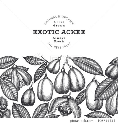 Hand drawn sketch style ackee banner. Organic fresh food vector illustration. Retro exotic fruit design template. Engraved style botanical background. 106754131