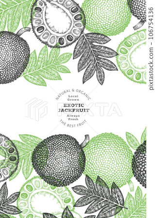 Hand drawn sketch style jackfruit banner. Organic fresh fruit vector illustration. Retro breadfruit design template Hand drawn sketch style jackfruit banner. Organic fresh fruit vector illustration. Retro breadfruit design template 106754136