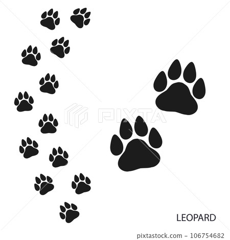Paw prints, animal footprints, leopard footprints template. Icon and track of footprints. Black silhouette. Vector Paw prints, animal footprints, leopard footprints template. Icon and track of footprints. Black silhouette. Vector 106754682