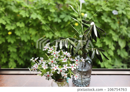 Decorate the windowsill with olives and periwinkles 106754763