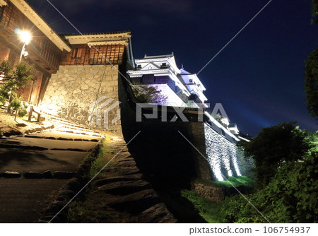 Matsuyama Castle floating in the night sky 106754937