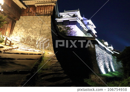 Matsuyama Castle floating in the night sky 106754938