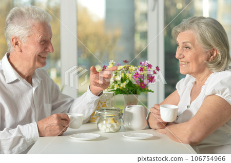 Happy elderly couple together having a dinner 106754966