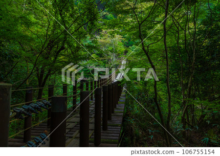 美麗清新的花貫溪谷 美麗清新的花貫溪谷 106755154
