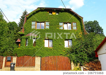 捷克共和國達羅維采的傳統房屋（卡羅維發利） 106755868