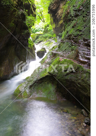 Scenery of Akaizawa flowing through Kobe Rock in Hinohara Village, Tokyo Scenery of Akaizawa flowing through Kobe Rock in Hinohara Village, Tokyo 106755996