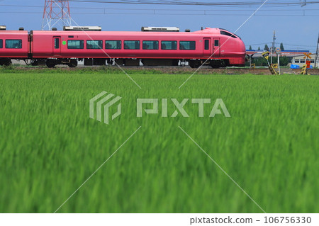 E653 series limited express "Inaho" (Hamanasu color) running on the Hakushin Line in midsummer_Photographed on July 17, 2023 106756330