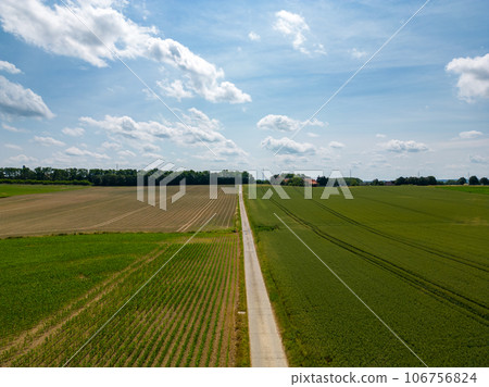 Scenic Aerial View of Agricultural Fields and Dirt Road in Sunshine 106756824
