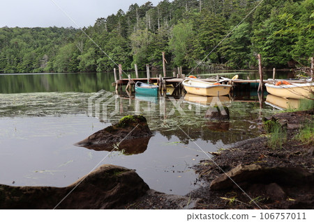 多雨的白駒池(北八岳) 9 月、8 月下旬,多雨,有時晴 多雨的白駒池(北八岳) 9 月、8 月下旬,多雨,有時晴 106757011