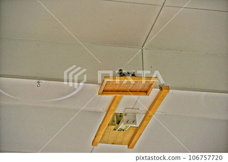 [Kanagawa] Swallow's nest in Mikasa shopping district, Yokosuka 106757720
