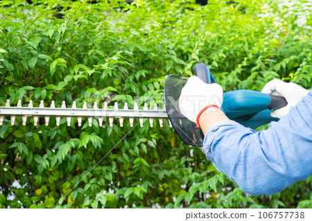 Woman taking care and growing plants, Hobby planting home garden, ornamental pruning. 106757738