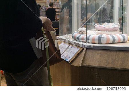 Pet shop small dog Pet shop small dog 106758093