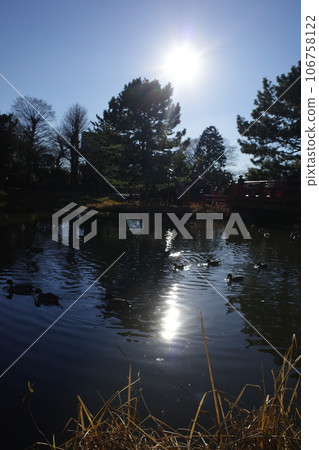 Shimena寺廟的池塘 Shimena寺廟的池塘 106758122