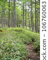 Mt. Tateshina mountain trail 106760063