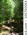 Mt. Tateshina mountain trail 106760064