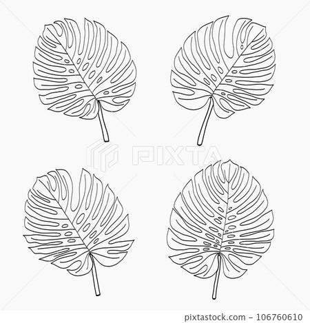 Simplicity monstera leaf freehand continuous line drawing flat design. 106760610