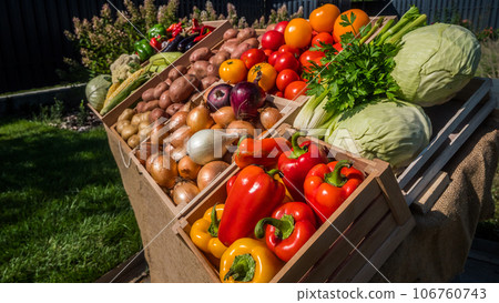 Wooden boxes with seasonal vegetables on a farmer's market counter Wooden boxes with seasonal vegetables on a farmer's market counter 106760743