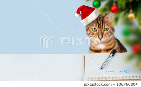 A Christmas cat in a Santa hat writes a letter to Santa Claus. Greeting card. 106760804