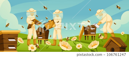 Cartoon beekeepers at apiary. Honey bees flying around beehives in flower field, blooming wildflowers and apiary workers. Rural beekeeping life vector illustration Cartoon beekeepers at apiary. Honey bees flying around beehives in flower field, blooming wildflowers and apiary workers. Rural beekeeping life vector illustration 106761247