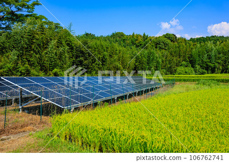 太陽能電池板和即將收穫的水稻 106762741