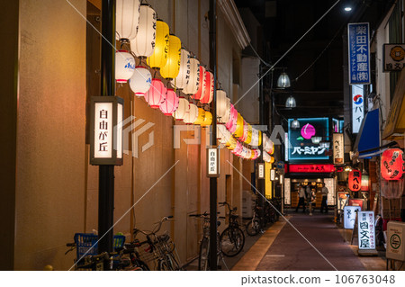 [Tokyo] Jiyugaoka Station/Bar District 106763048