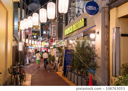 [Tokyo] Jiyugaoka Station/Bar District 106763053