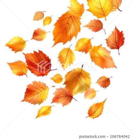 Autumn falling leaves isolated Autumn falling leaves isolated 106764042
