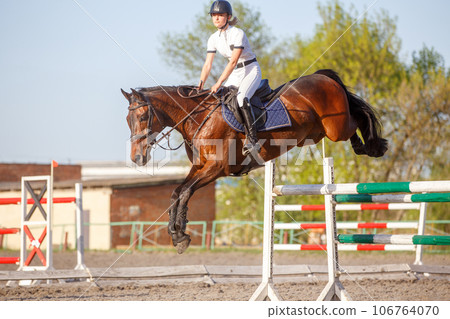 Young horseback woman landing after bounding over the obstacle on her course 106764070