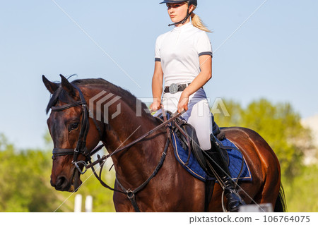 Young rider woman riding horse warming up before showjumping competition Young rider woman riding horse warming up before showjumping competition 106764075