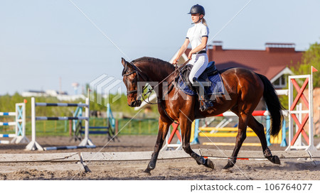Young rider woman riding horse warming up before showjumping competition Young rider woman riding horse warming up before showjumping competition 106764077