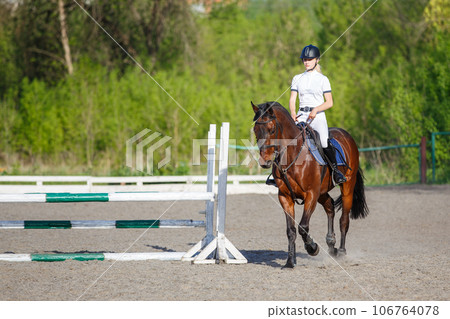 Young rider woman riding horse warming up before showjumping competition 106764078