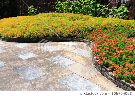 [Kagawa Prefecture] National Sanuki Manno Park in summer (Flower garden and stone walls) 106764098