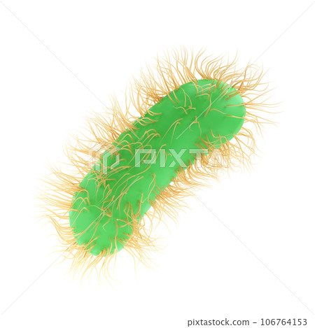 3d render illustration Escherichia Coli of Pathogenic bacterium bacteria medicine, salmonella typhosa with flagella microscopic view in fluid. Medical virus, scientific concept with microbe and germ 3d render illustration Escherichia Coli of Pathogenic bacterium bacteria medicine, salmonella typhosa with flagella microscopic view in fluid. Medical virus, scientific concept with microbe and germ 106764153
