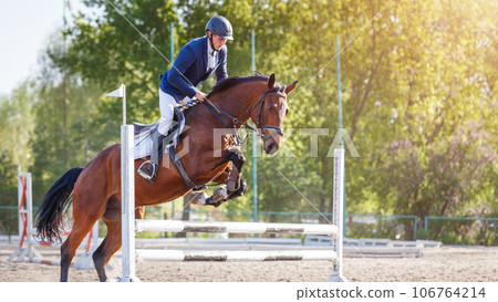Young sportsman riding horse bounding over obstacle on showjumping competition Young sportsman riding horse bounding over obstacle on showjumping competition 106764214