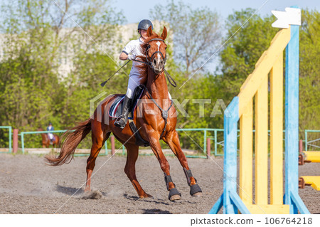 Unobediance of the horse in show jumping competition Unobediance of the horse in show jumping competition 106764218