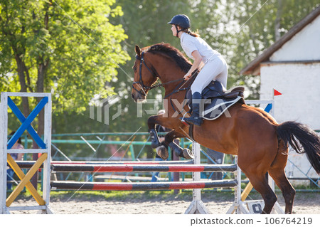 Young rider horseback woman jumping over the hurdle in showjumping competition Young rider horseback woman jumping over the hurdle in showjumping competition 106764219