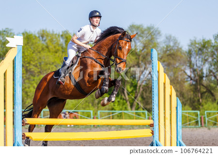 Young rider horseback woman jumping over the hurdle in showjumping competition 106764221