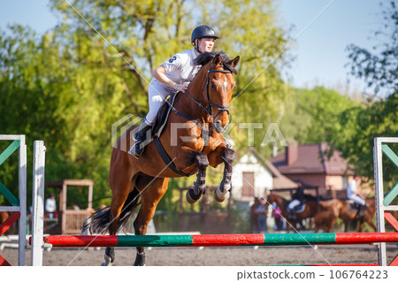 Young rider horseback woman jumping over the hurdle in showjumping competition 106764223