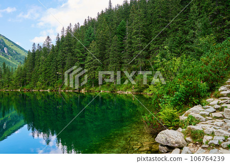 Spruce forest near blue lake in mountains. Tatra National Park in Poland. Panoramic view on Morskie Oko or Sea Eye lake in Five lakes valley. Nature landscape 106764239