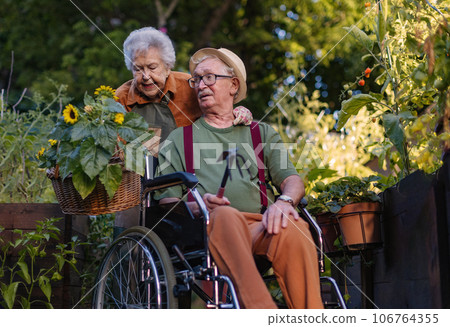 Portrait of senior couple taking care of vegetable plants in urban garden. 106764355