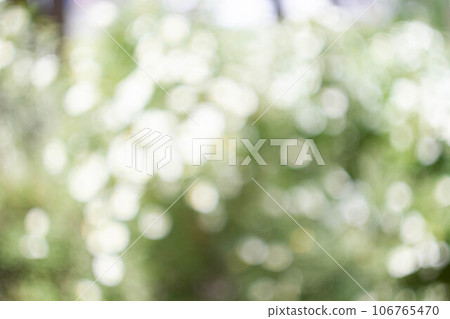 Abstract background. Bokeh in the background. Green color. 106765470