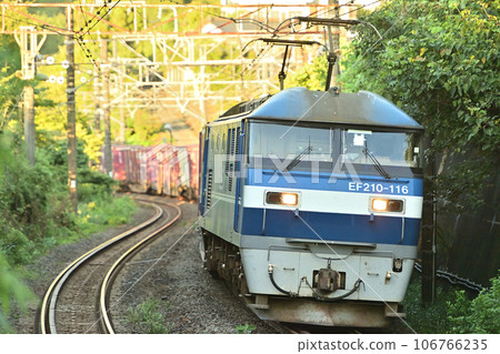 東海道本線 睡川-早川 JR Freight EF210-116(新鶴見) 東海道本線 睡川-早川 JR Freight EF210-116(新鶴見) 106766235