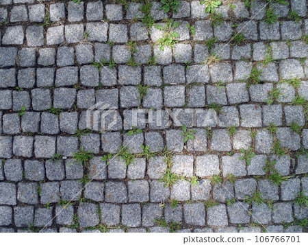 Cobble stone path Cobble stone path 106766701