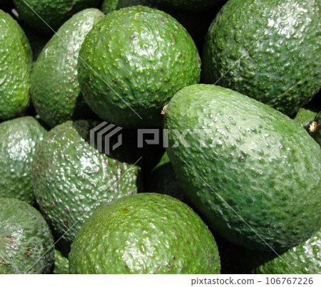 Green avocados 106767226