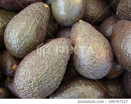 Ripe avocados Ripe avocados 106767227