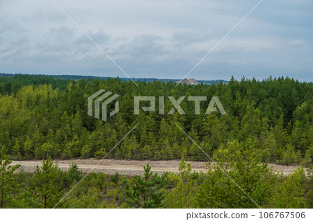 A view of the forest in the territory of Aidu quarry. Stacks of dolomite in the distance 106767506